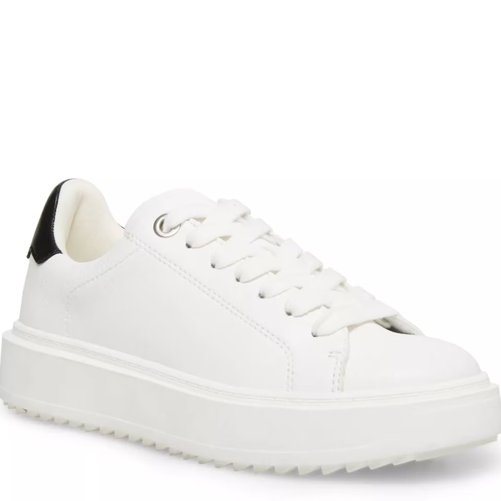 Steve Madden Charlie Sneakers